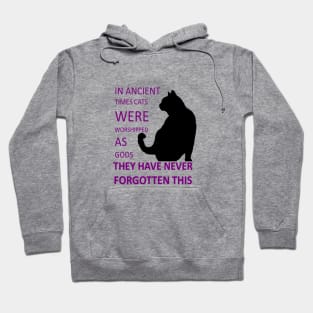 In Ancient Times Cats Were Worshipped As Gods v7 Hoodie